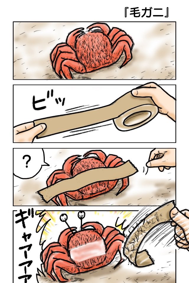 『毛ガニ』
#漫画が読めるハッシュタグ #4コマ