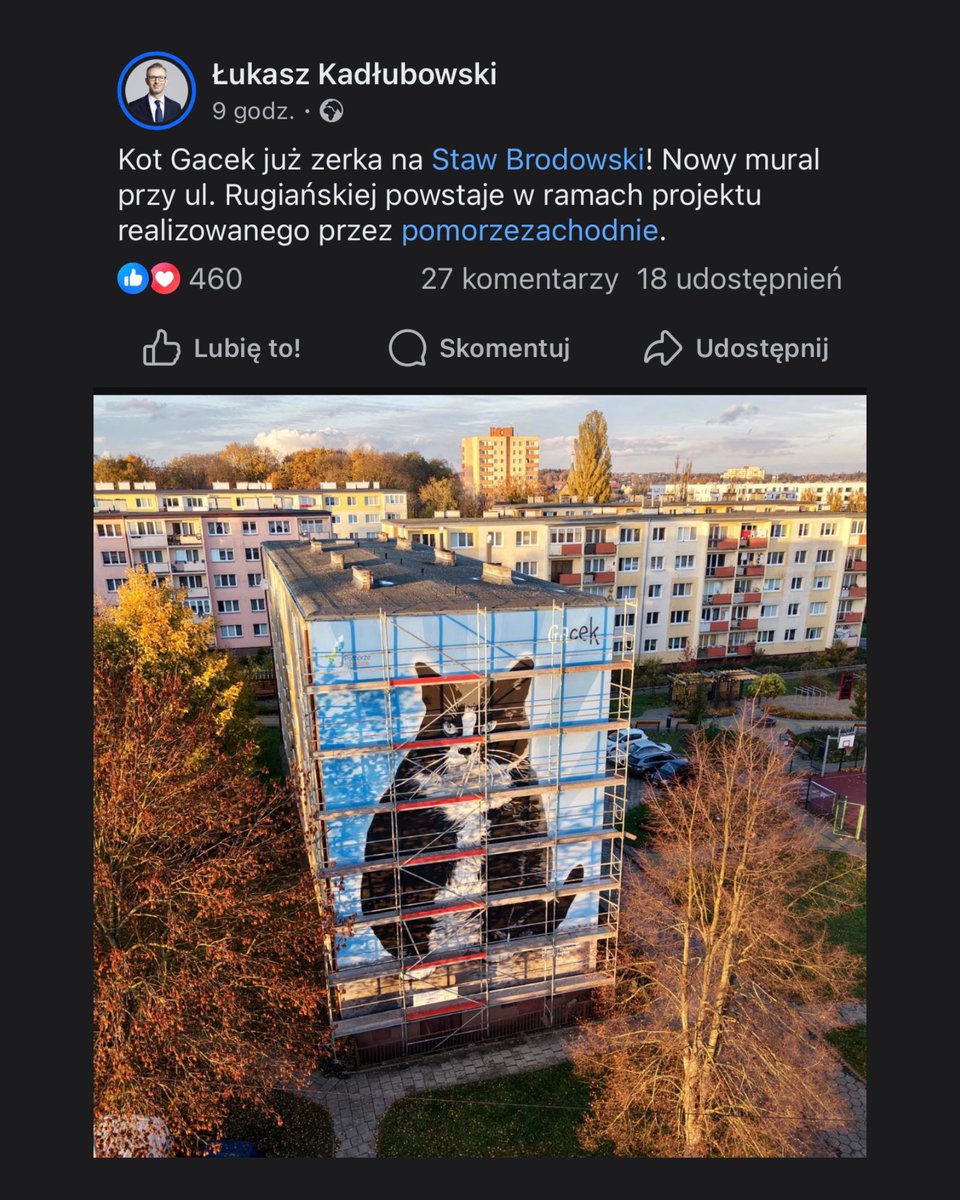 W Szczecinie powstał mural z kotem Gackiem – słynnym czarno-białym kotem z ulicy Kaszubskiej, który został najwyżej ocenianą atrakcją miasta w Google Maps.