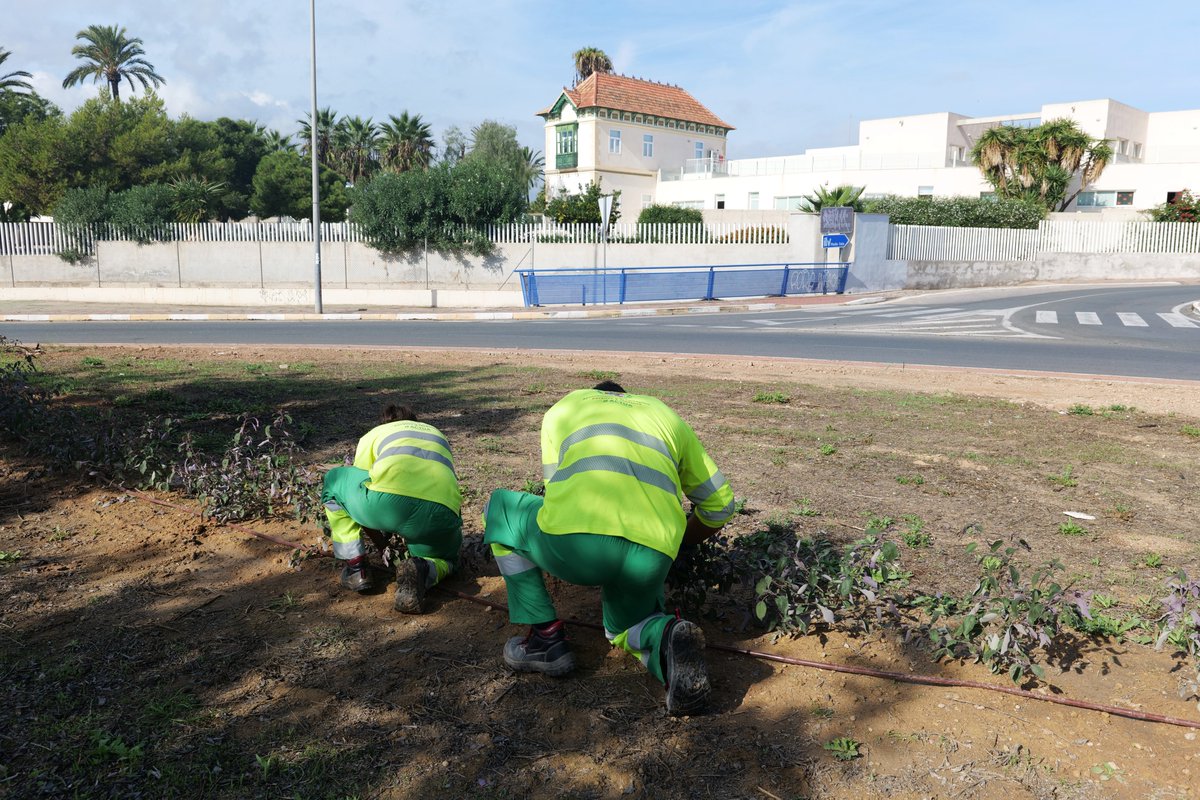Jardines de Cartagena tweet media