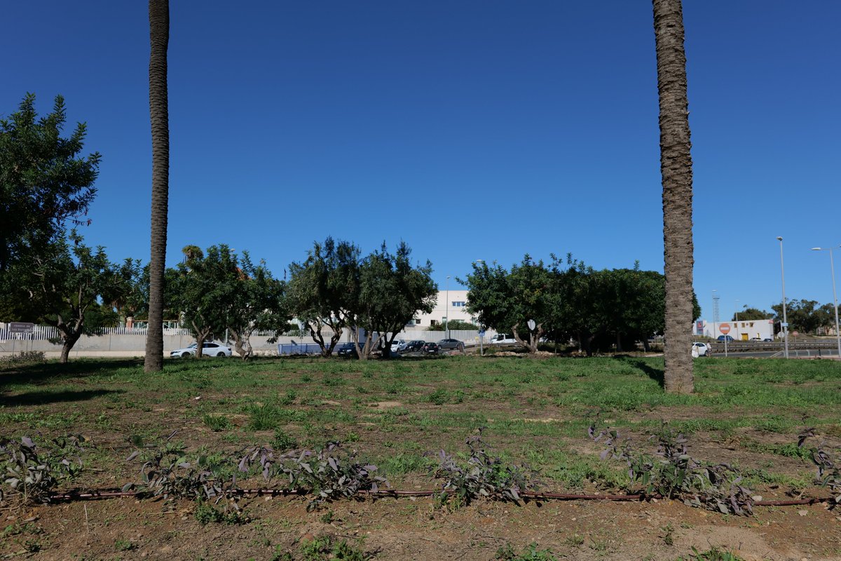 Jardines de Cartagena tweet media