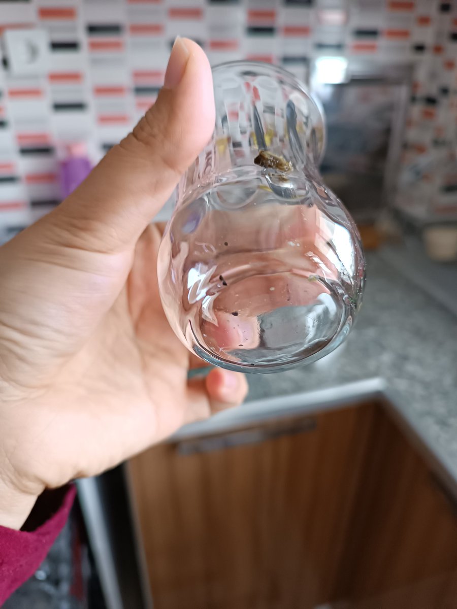 sfyfdnn's tweet photo. Rezilsiniz gerçekten gelin bunlardan siz yiyin için bozuk ürünler satmışsnz bizde sizlere iyi destek vermek istiyorsunuz diyorsunuz hemen gereğini yapin hemen 4 saatlik programdan çıkan bulaşıklar @TuketiciBasvuru @VestelDestek @Vestel @aydinagaoglu @tuketiciajansi @tuketicihbr https://t.co/BrzNvZArZT