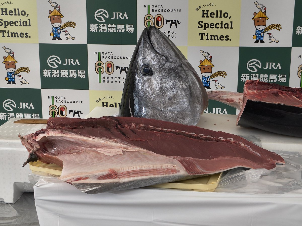 新潟競馬場のマグロ解体ショーは、今年もことぶき寿司さんでした。

マグロ寿司は作り置きを持ってきていましたが、この横越のことぶき寿司さんで提供されました。

私は抽選にハズレたので、マグロ寿司ふるまいを食べられませんでした。