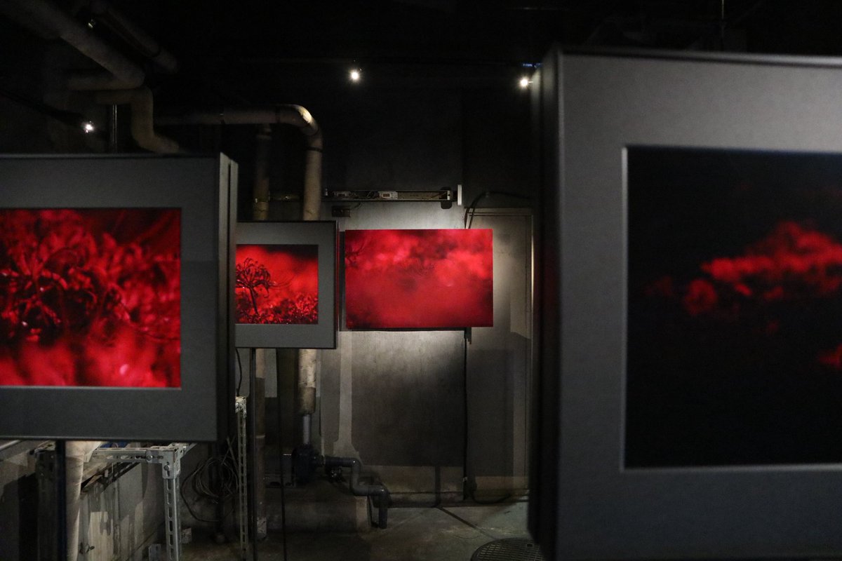 ゼラチンシルバーセッション (@GSS_news) / Posts / X