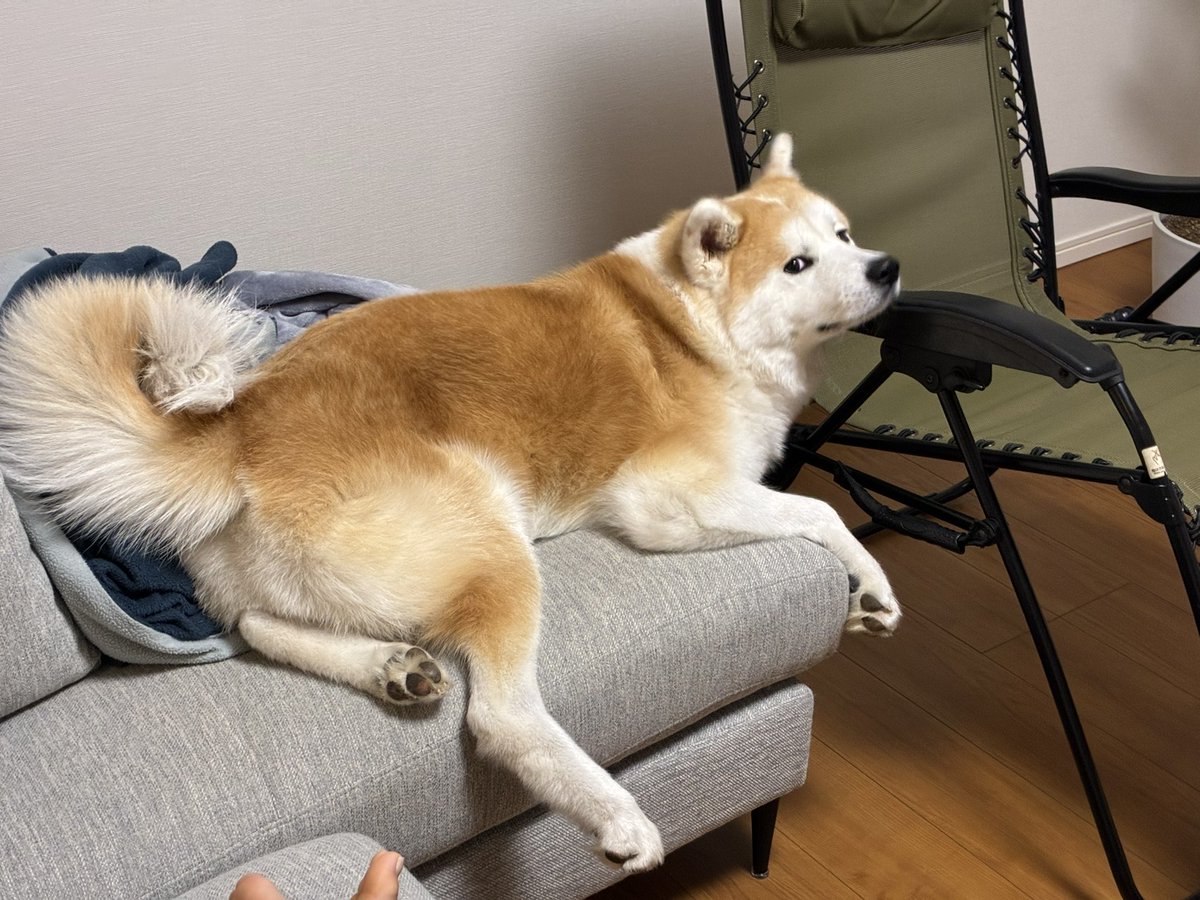 ْ (@65907_30_4) / Posts / X