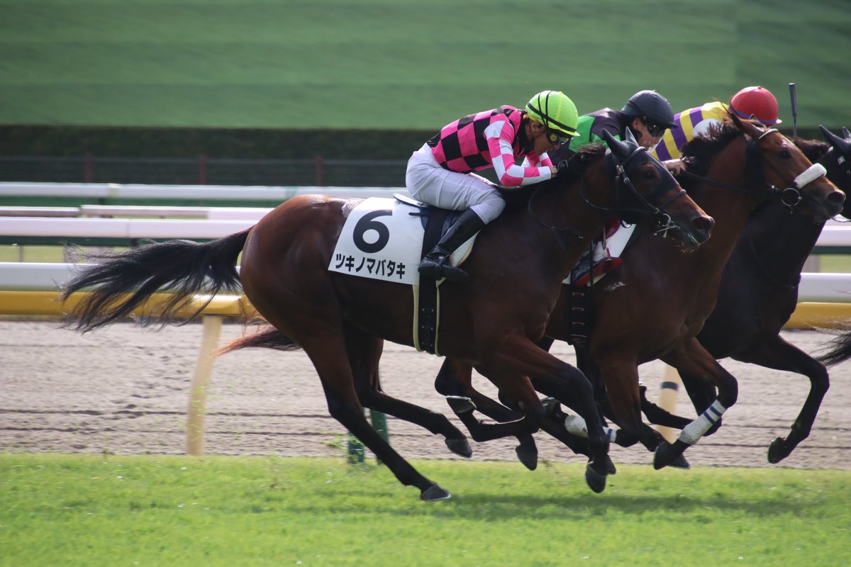 Ogoma🇩🇪フラッシュ専属🐞 on X