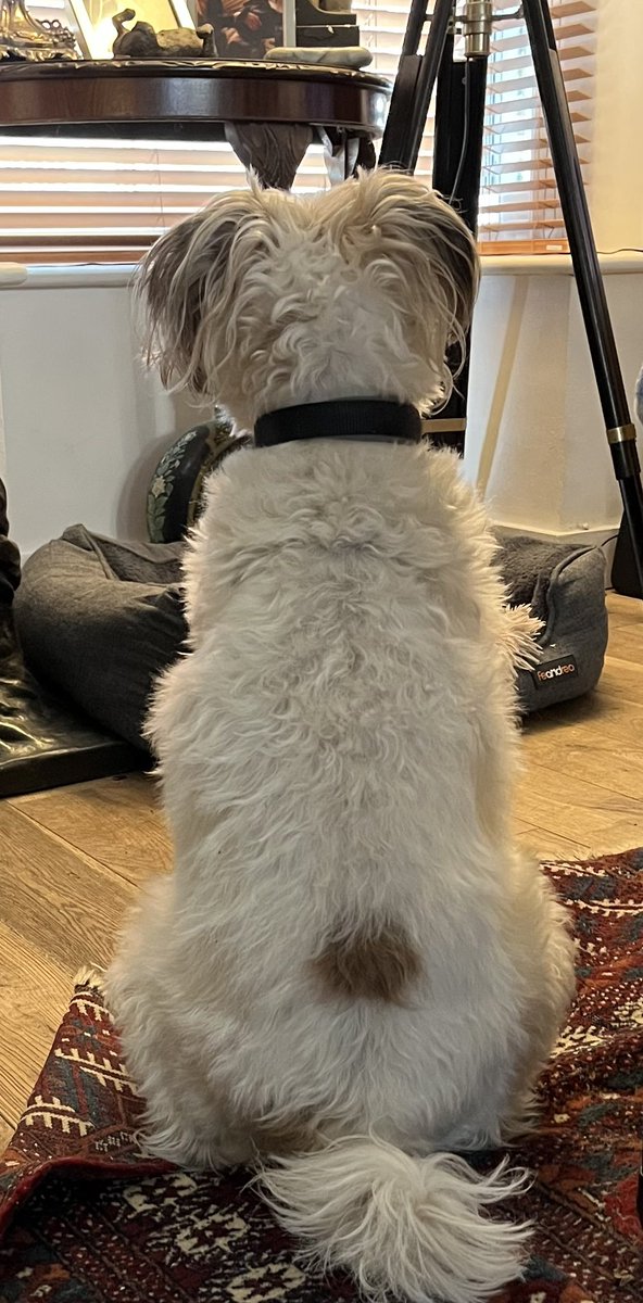 James Dreyfus tweet media