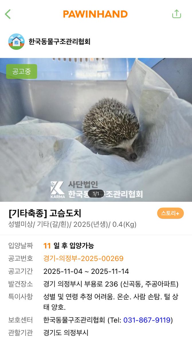 [유기 고슴도치 공고] 2025.11.4.-11.14.

경기도 양주 (한국동물구조관리협회)
이곳은 특수동물도 안락사를 시행하는 곳입니다
ㅠㅠ