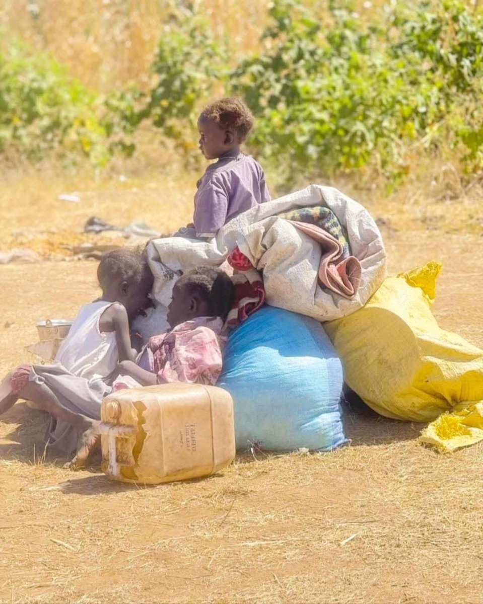 अभी नन्हा सा पौधा है बड़ा होगा तो फल देगा 

हमारी क़ौम का बच्चा हवा का रुख बदल देगा 
#IndiaStandWithSudan