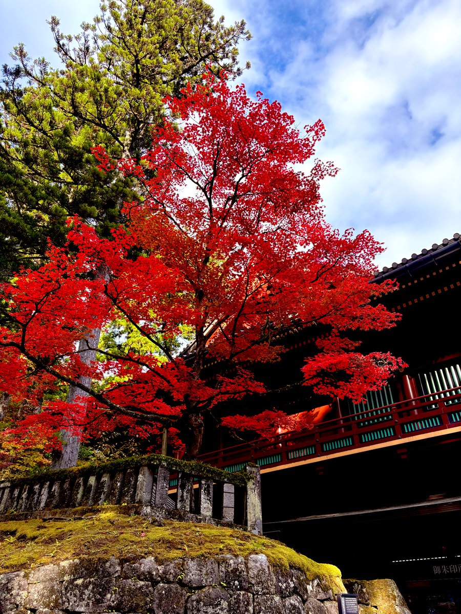 さぁ໒꒱*॰ on X