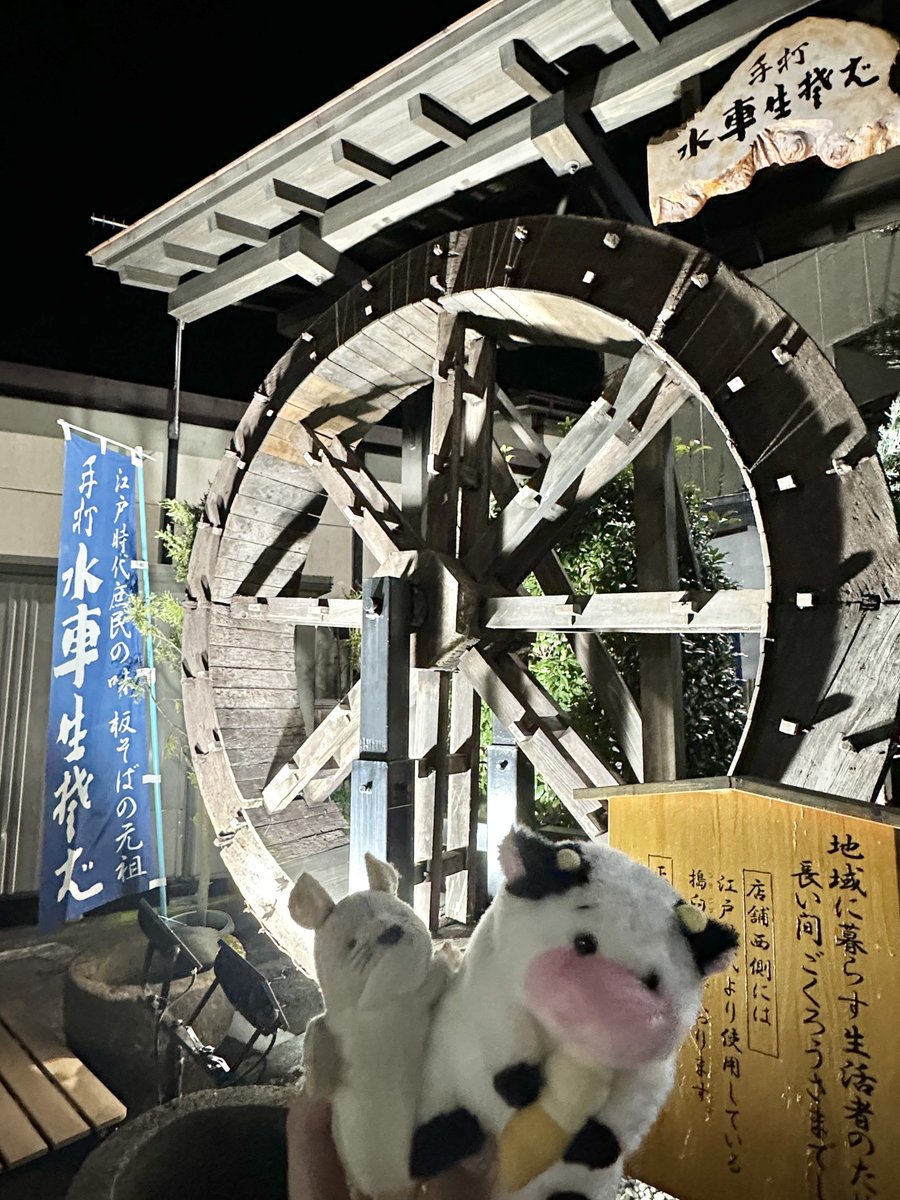 ピッピさま ネッピー・チーズ(本人) on X