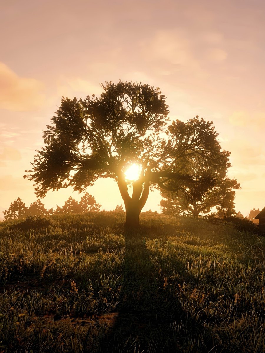 Gretsch_50's tweet photo. Red Dead Redemption 2 https://t.co/BtQ60bB6Mb