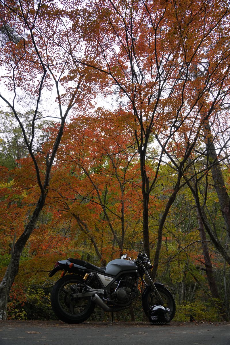 konno1987's tweet photo. 最近休みの日は引きこもってばかり
人もバイクも錆びてしまいそうなのでカメラを持って紅葉を愛でに🍁
曇天で日差しがなく、路面温度計は10℃表示…ある程度着込んで行ったものの肌寒くなってきたので早々に帰宅🥶
#ヤマハ #SRX #1JL #2NY
#ソニー #α7CII
#YAMAHA #SONY https://t.co/wCYEB2MDCT