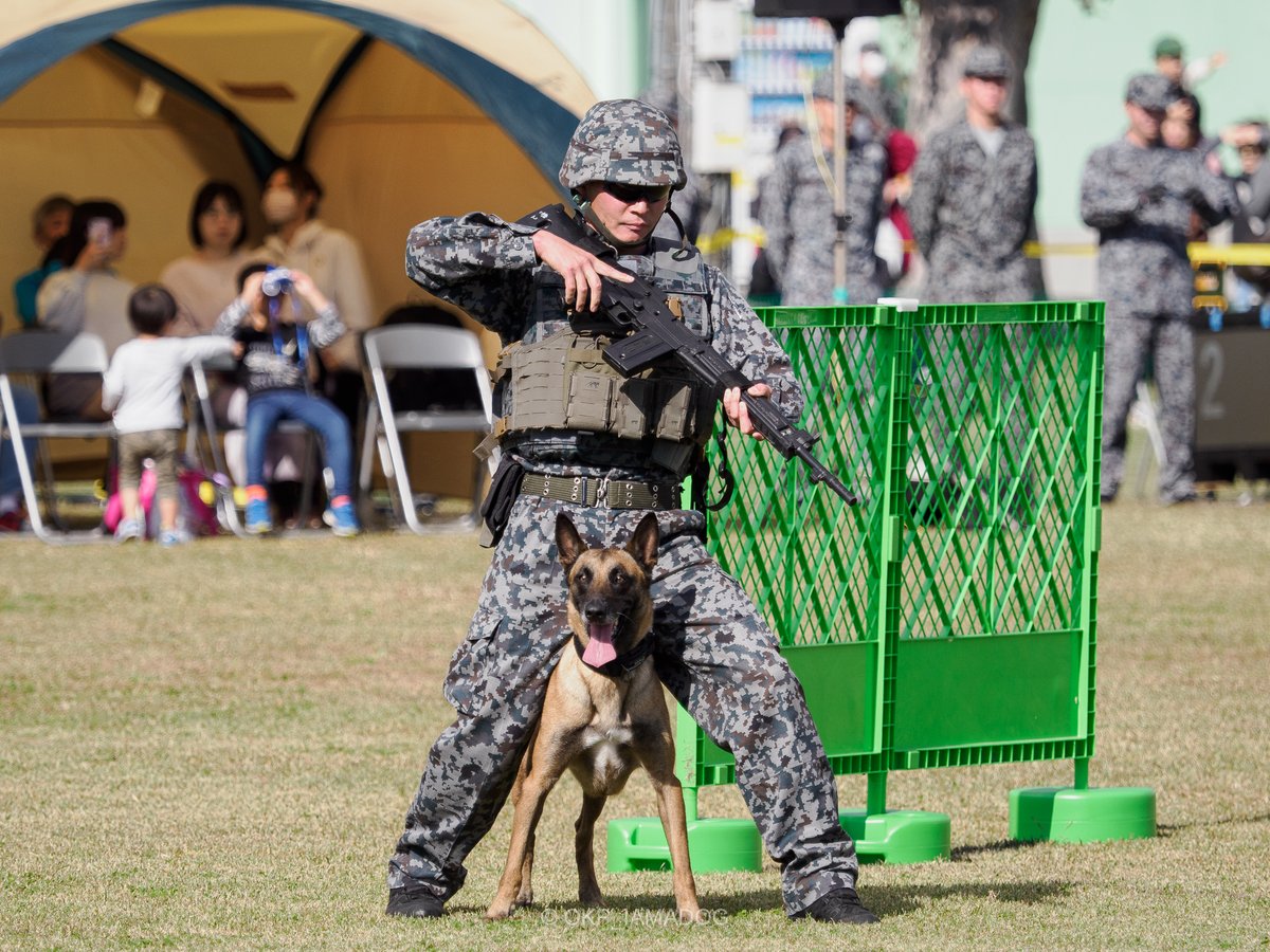 警備犬訓練展示はいいぞ！ ジュリアス号、ジャッキー号、ジャスミン号 