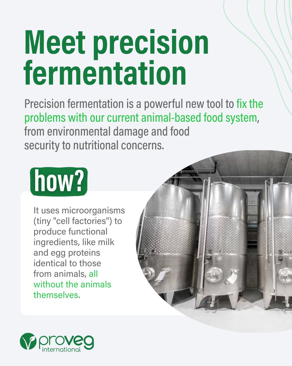 Mind-blowing but true: milk &amp; egg proteins made with ZERO farmed animals! 🚫🐄🐔 Precision fermentation turns tiny microbes into planet-saving, real dairy &amp; egg proteins with the same taste, texture, and nutrition—no compromise. Curious how? ⬇️hubs.ly/Q03RwLhY0