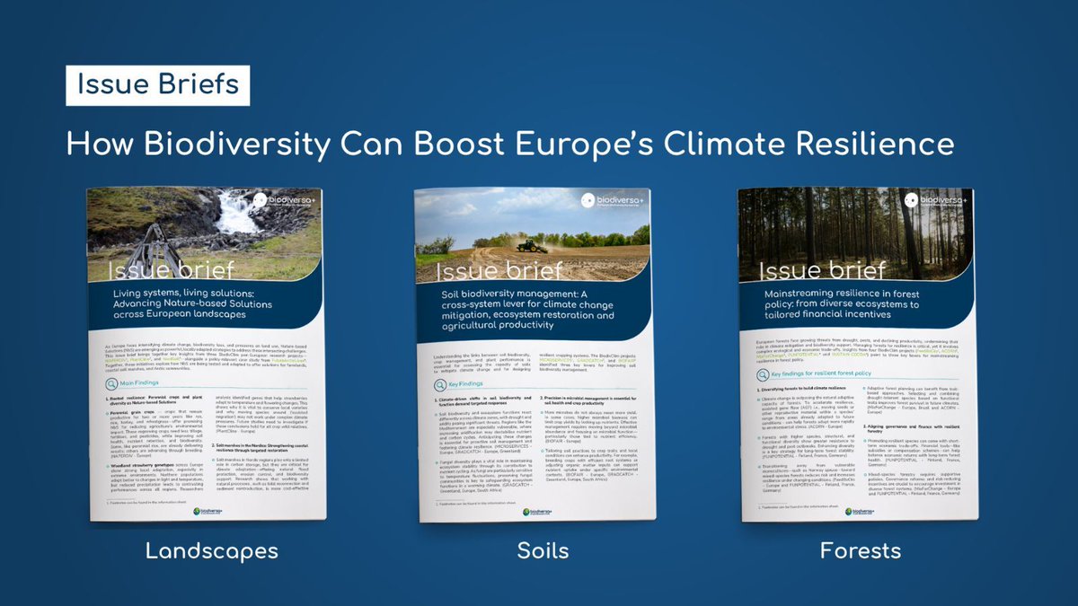 Biodiversa+ (European Biodiversity Partnership) tweet media
