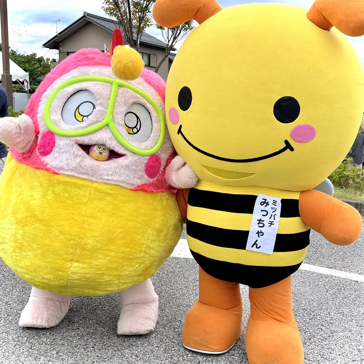 ミツバチみっちゃん【公式】 (@gs_micchan) / Posts / X