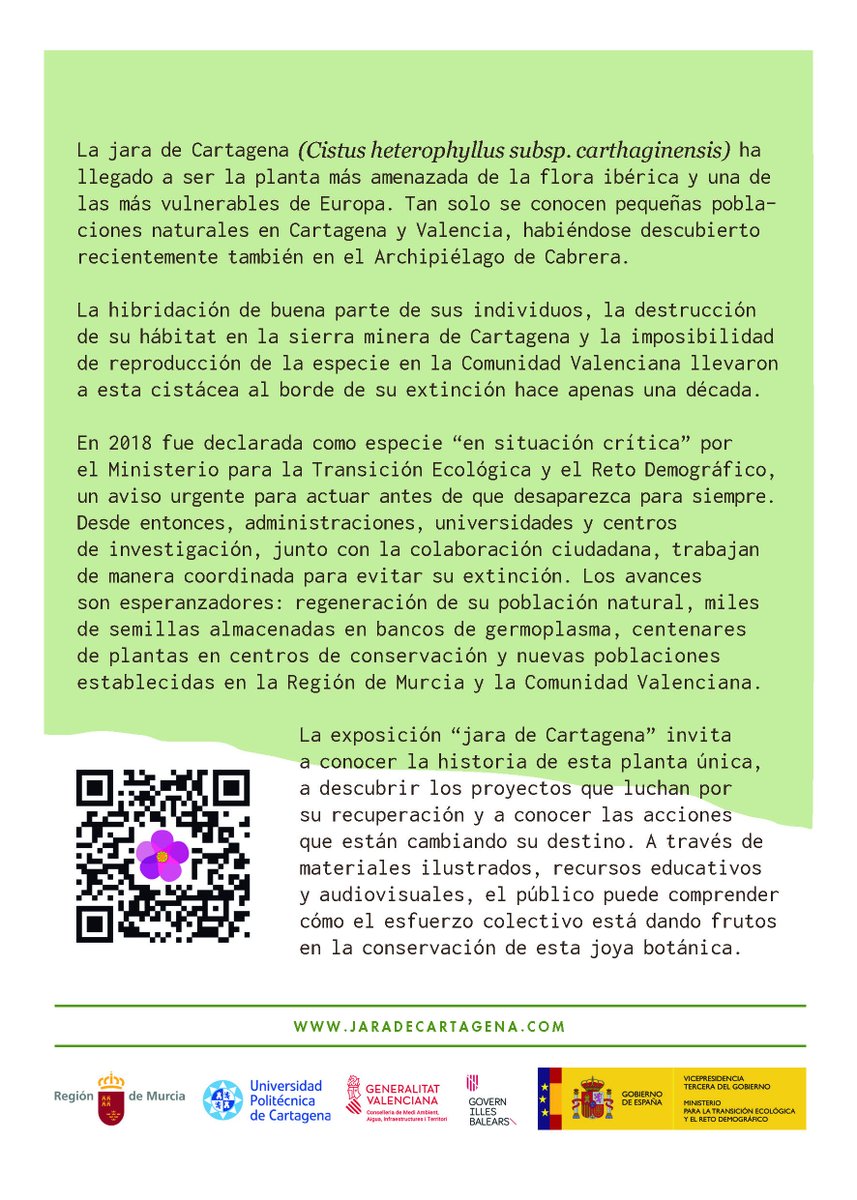 Jara de Cartagena tweet media