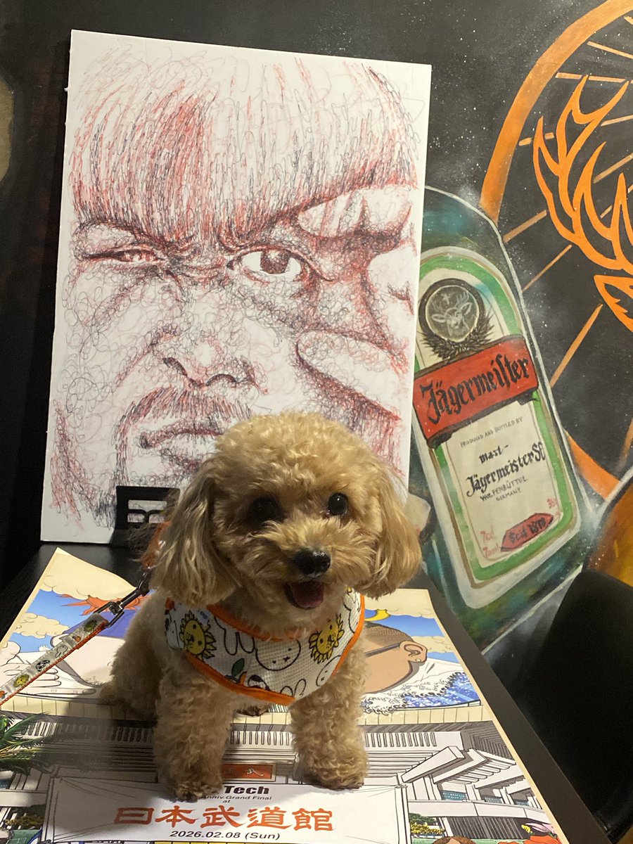 トランキーロ - Search / X