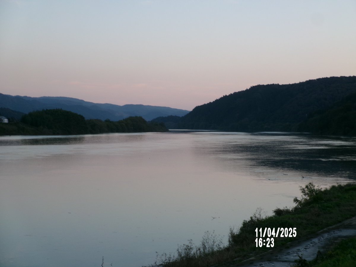 のりちゃんページ のりちゃん (@noritsubo412766) / Posts / X