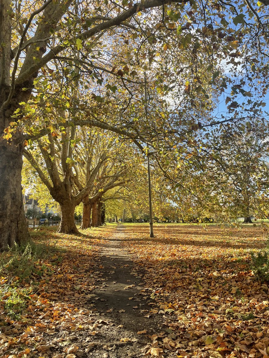 Sunday #claphamcommon - Autumn beauty