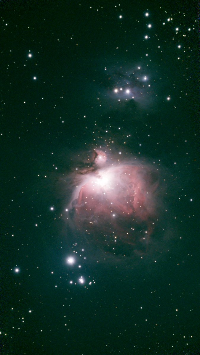 シベット (@PACIFICA612) / Posts / X