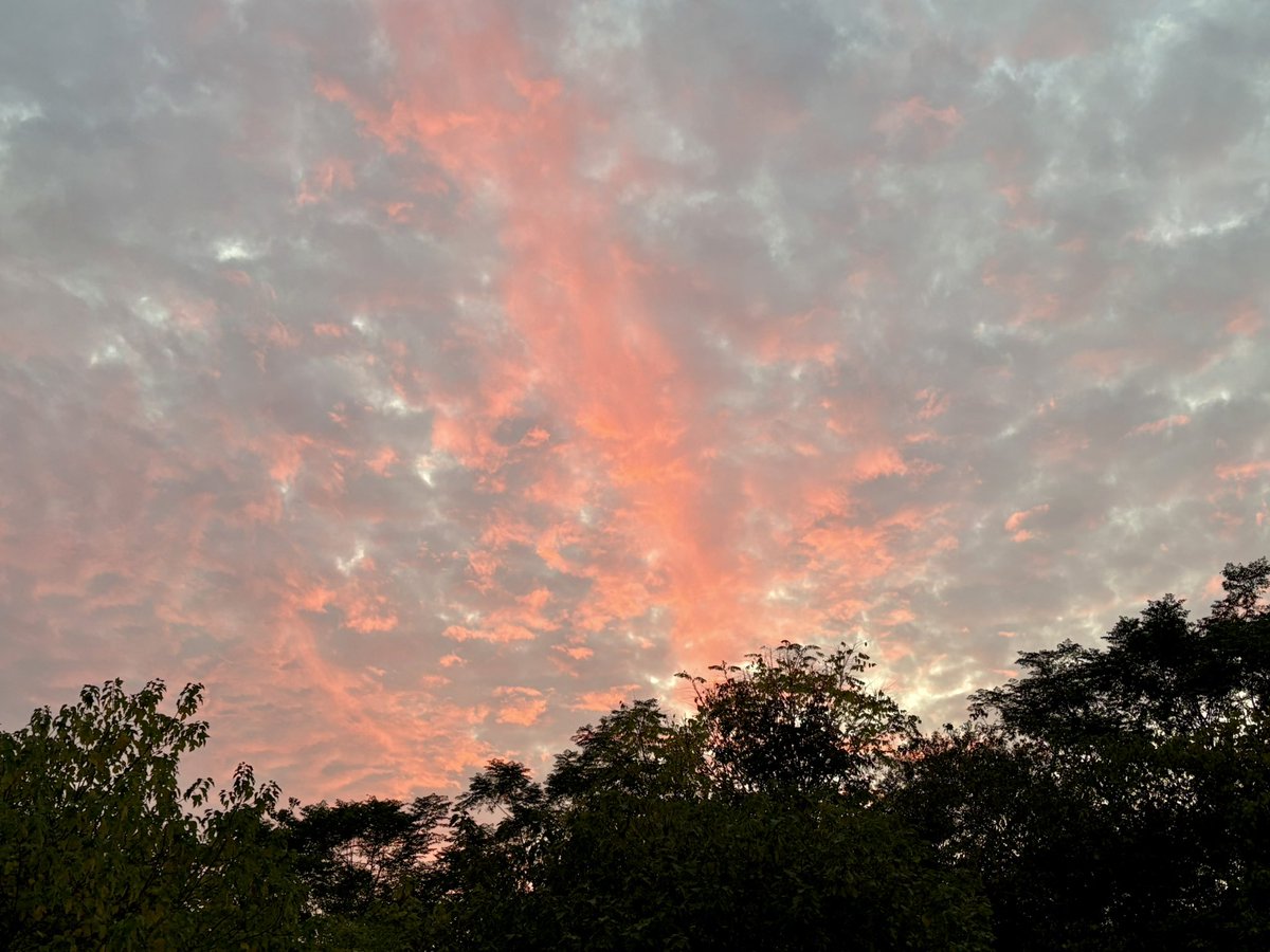 傍晚的天空是美丽的颜色。