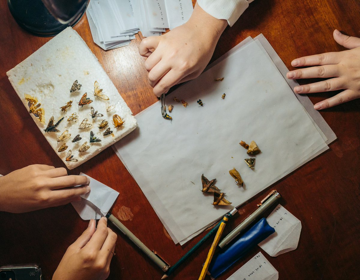 We are proud to share that our citizen science, research, and conservation program, Wired Amazon, has been awarded Silver in the “Nature Positive Responsible Tourism” category at the 2025 Global Responsible Tourism Awards. 🔊🔊