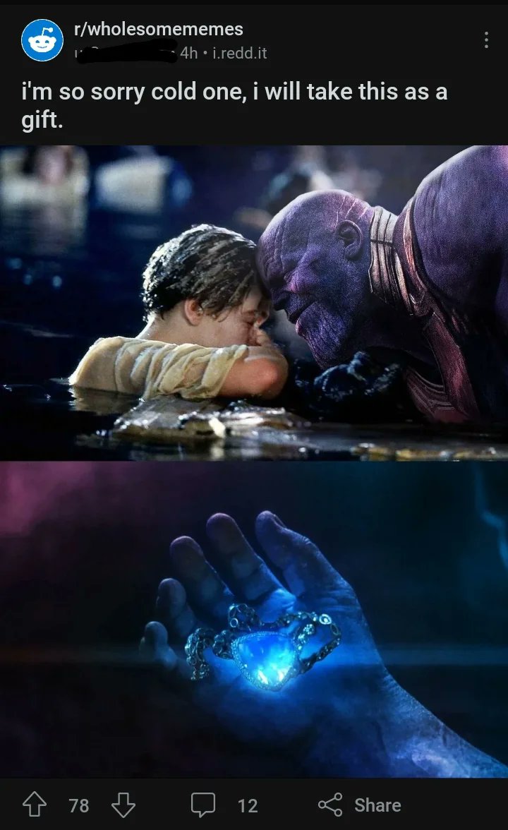 ShibesOnTwit's tweet image. 