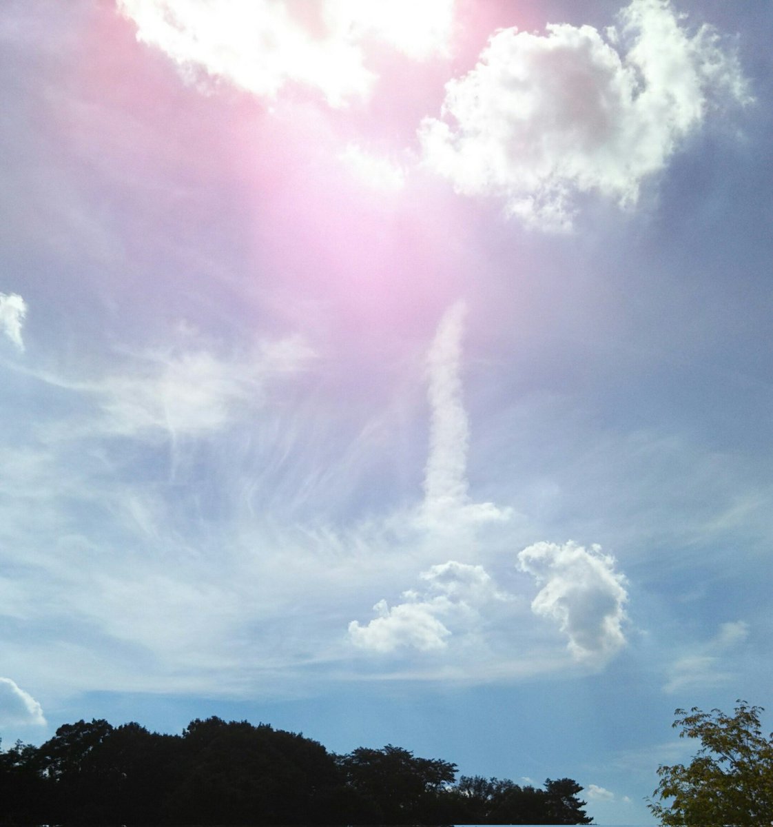 鮎貝晄月 (@ayukaikogetsu) / Posts / X