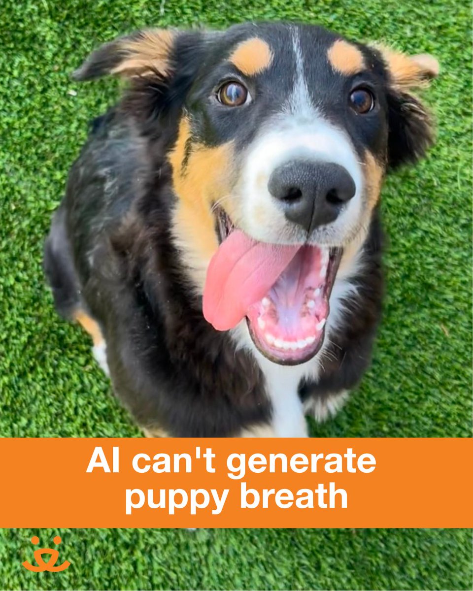 bestfriends's tweet photo. You have heard all the things AI CAN do, but do you know what it CAN'T do? 😸 https://t.co/AxEqL7pGr7