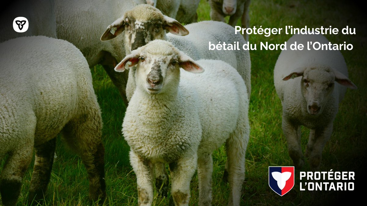 Le <a href="/ONgouv/">Gouv de l’Ontario</a> soutient les agriculteurs et leur bétail par le Programme d'aide à la prestation des services vétérinaires.

Le programme verse une aide financière aux vétérinaires qui travaillent dans des régions rurales et du Nord.

En savoir plus : bit.ly/47E5zMr