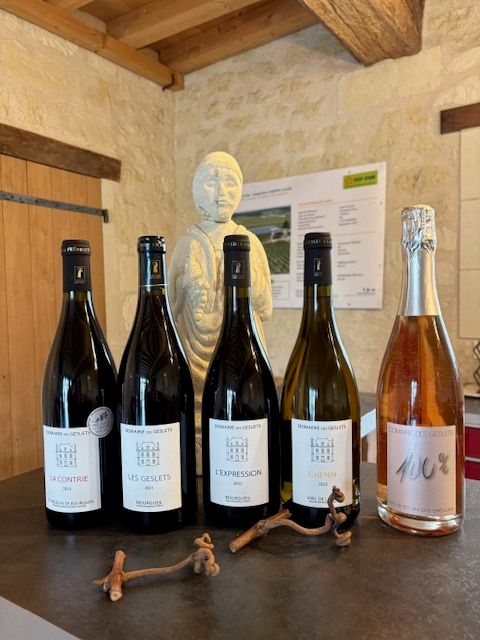 Day two in Loire Valley: We take a guided tour of Chateau d’Amboise, as well as Le Chateau de Clos Lucé and its gardens, where Leonardo da Vinci lived out his last days. A small vineyard wine-tasting followed at Domaine des Geslets in Bourgueil. 🌿

<a href="/vivianvassos/">Vivian Vassos</a> @exodustravels