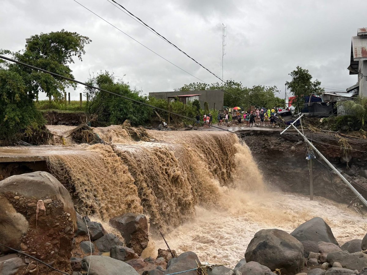 Miss Kaye Brier tweet media