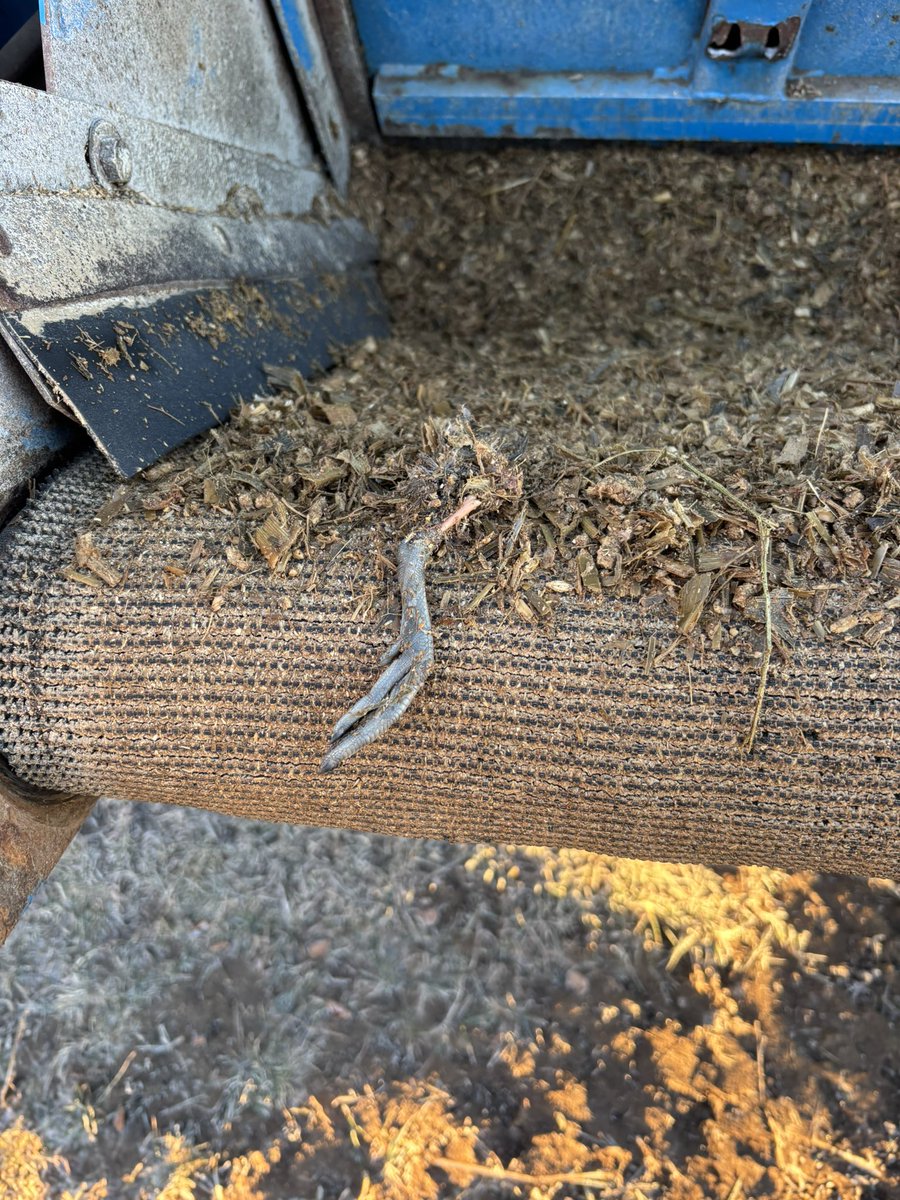 Mitch Stuart tweet media