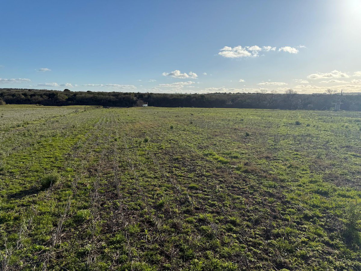 María Dolores .
No se adjudicaron las áreas para la agricultura.
Mil hectáreas donde no habrá ninguna producción excepto las malezas .
32 millones y medio de dólares de capricho .