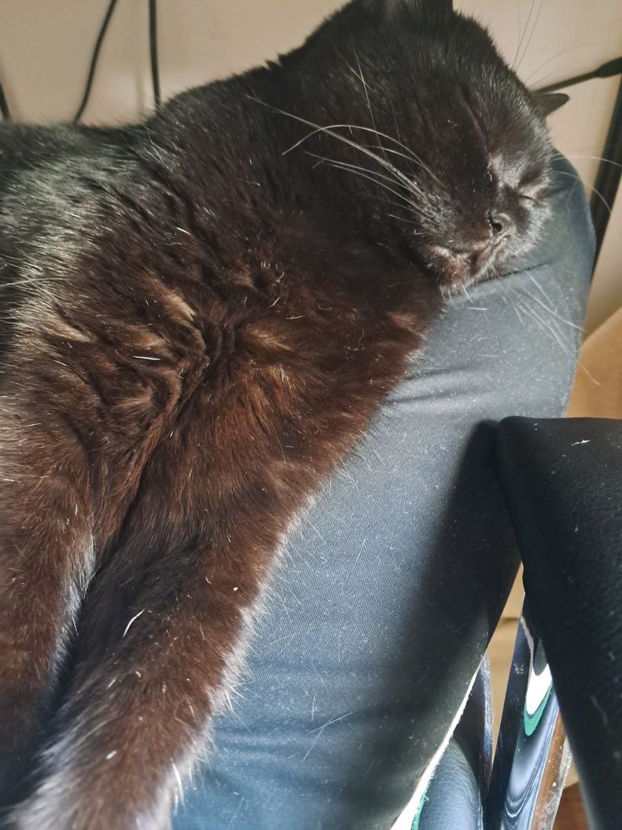 Cup of Pixels tweet media