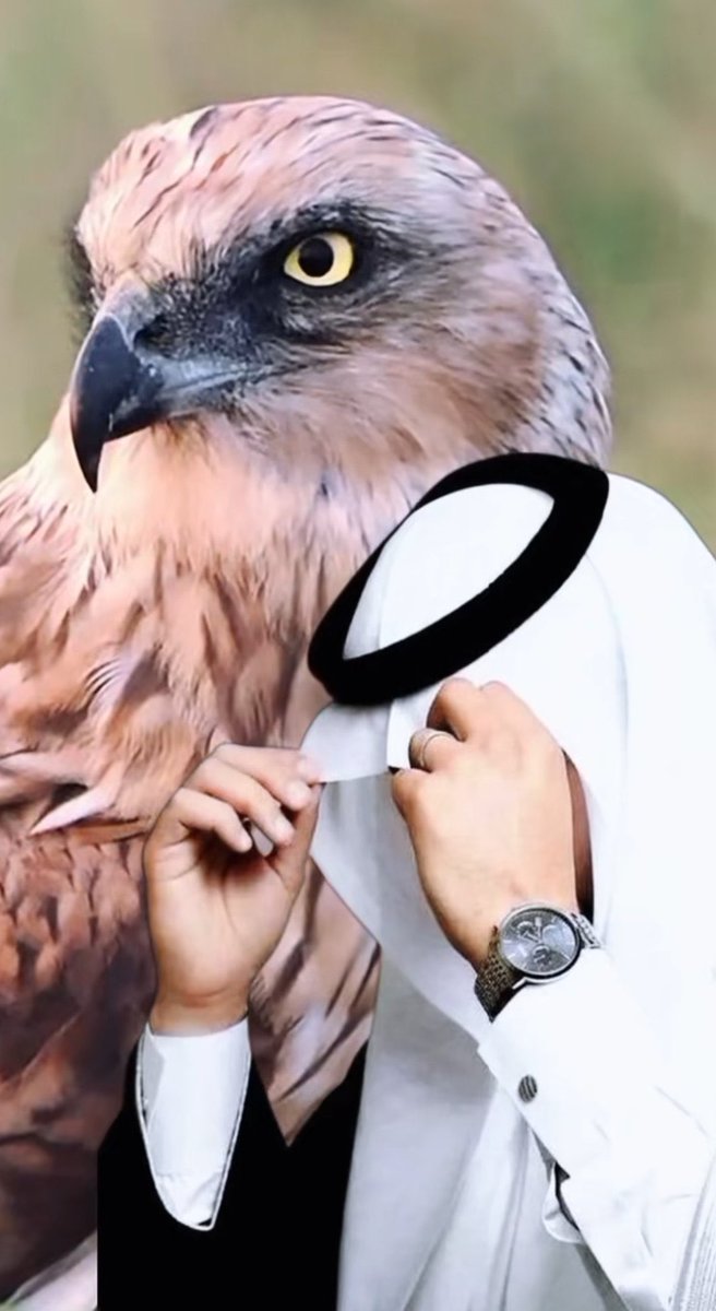 حبيبي ترا بيني وبينك عتابّ احباب 
ولو لا غلا حضرتك والله ما أعاتبها 

من الشوق والغيره عليك افقد الاعصاب 
ترانـي دخيلـك حالتـي لا تعذبهـا

#ٰمـشٰاعـر