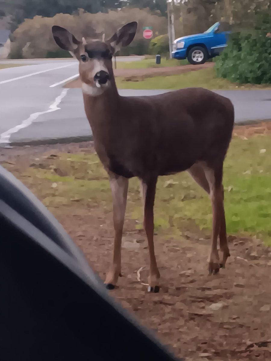 I was almost car jacked this morning. Keep me in your thoughts and prayers.