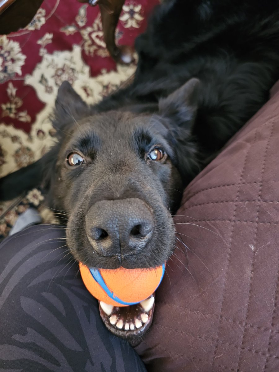 SeeDebbieGo's tweet image. This is my "Good Morning" face.