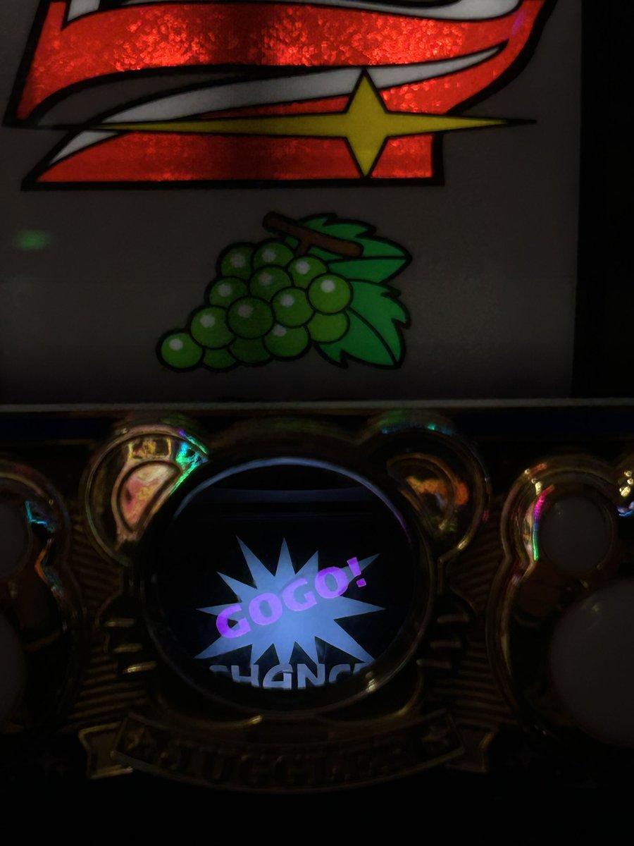 ニトチャン🐍0y tweet media