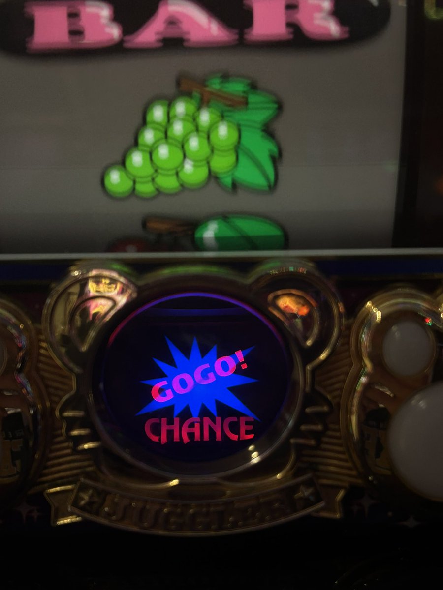 ニトチャン🐍0y tweet media