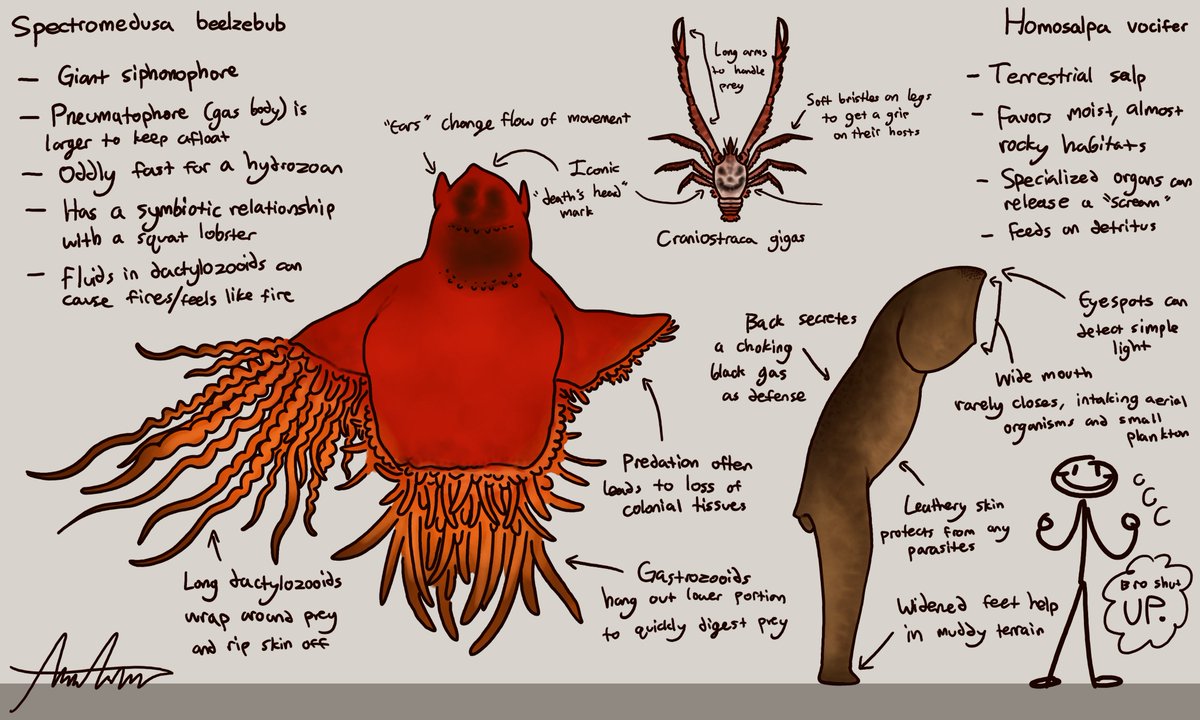 Shark_Sheriff's tweet image. YES I suck, YES I need balancing, YES this goes for the both of us 😂✌️ #pillarchase2 #Rosemary #Vapor #BothStarterMonstersReekOfBootyCheeks