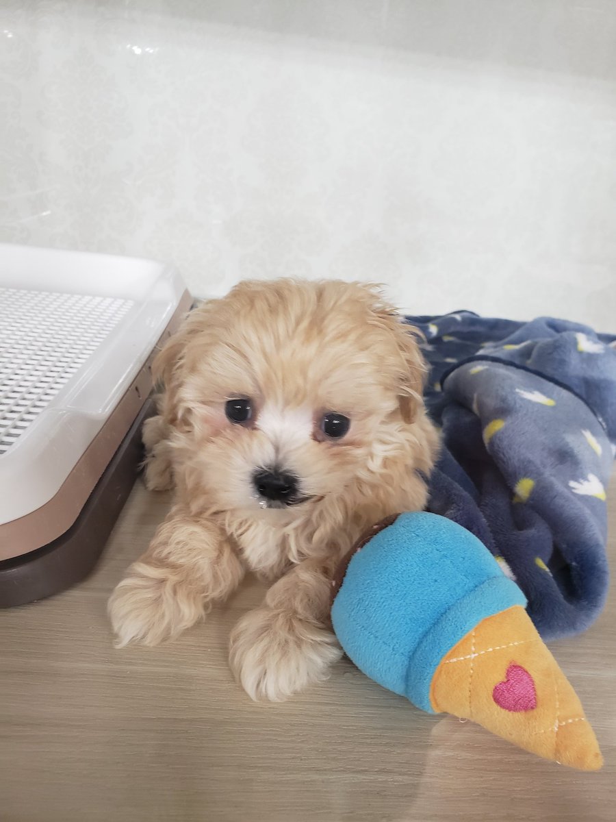 可愛い❤でしょ😊😊