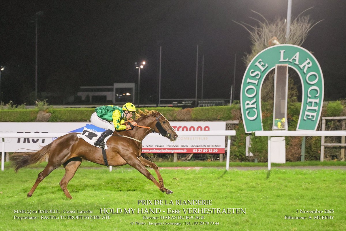 🥇WINNER🥇

Delighted with Hold My Hand who secured our second win of the day yesterday at Le Croisé-Laroche under Ebbe. 🎉

Congratulations to owners <a href="/RTPSyndicate/">Racing To Profit Syndicate</a> , <a href="/lemosdesouza1/">LDS RACING</a> and all other connections! 🥂

Hold My Hand was purchased by <a href="/lemosdesouza1/">LDS RACING</a> from the <a href="/InfoArqana/">ARQANA</a>