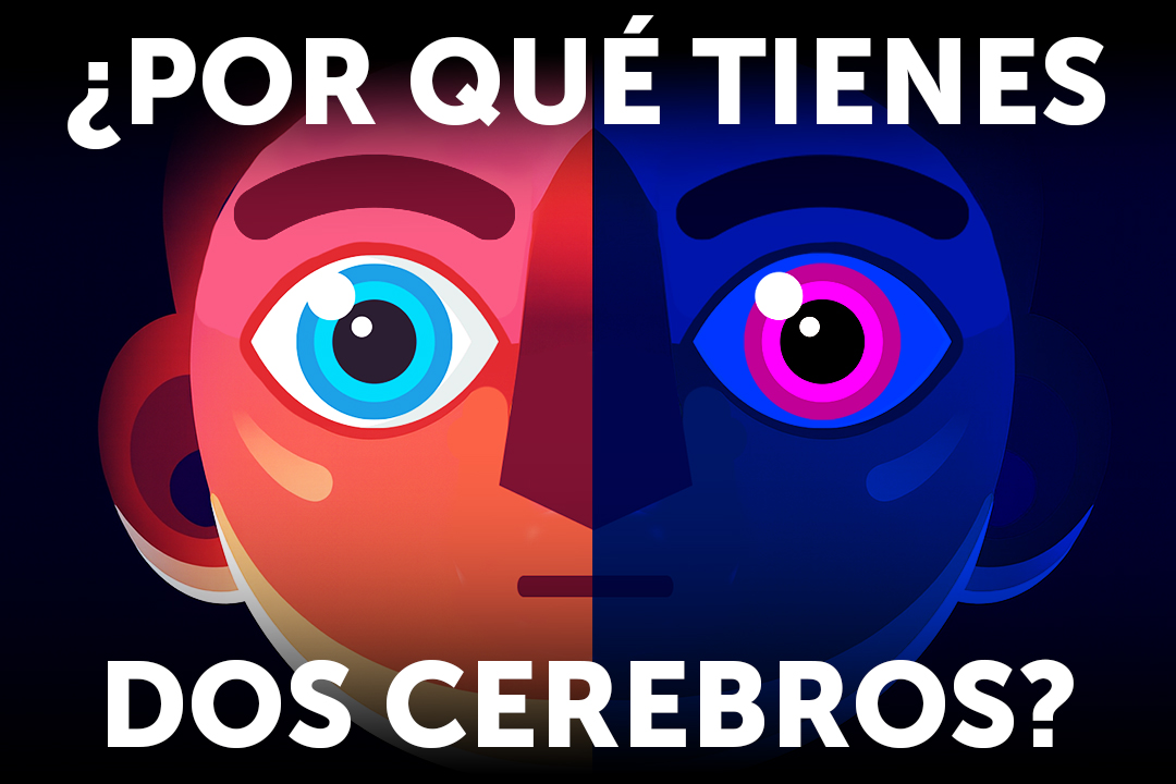 Jorge Benito tweet media