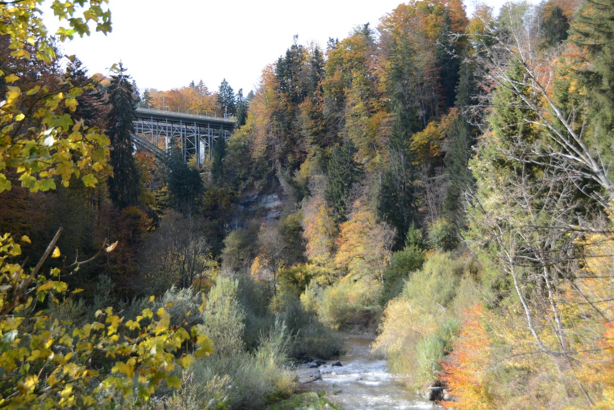 𝗞ö𝗻𝗶𝘇 𝘄𝗶𝗿𝗱 𝗣𝗮𝗿𝘁𝗻𝗲𝗿𝗴𝗲𝗺𝗲𝗶𝗻𝗱𝗲 𝗱𝗲𝘀 𝗡𝗮𝘁𝘂𝗿𝗽𝗮𝗿𝗸𝘀 𝗚𝗮𝗻𝘁𝗿𝗶𝘀𝗰𝗵

#köniz und der Förderverein Region Gantrisch gehen nächstes Jahr eine Partnerschaft ein. Auf der alten Schwarzwasserbrücke wurde diese besiegelt.
koeniz.ch #gantrisch