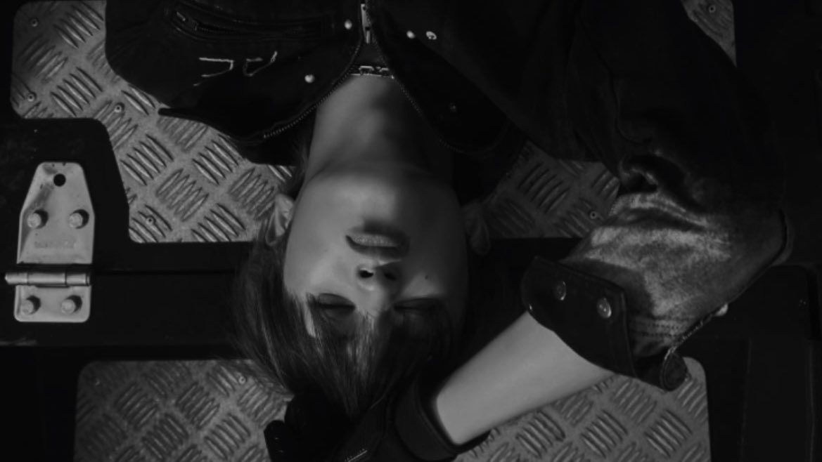 leviesque's tweet image. 