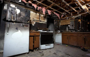 CanadianBPB's tweet image. NVS Demolitions Inc. | Edmonton, AB
From safe asbestos &amp;amp; mold removal to full fire &amp;amp; water damage restoration — we’re Edmonton’s trusted experts in demolition &amp;amp; construction.
Building stronger, safer spaces every day.
#NVSDemolitions #Edmonton #YEGConstruction #RestorationExperts