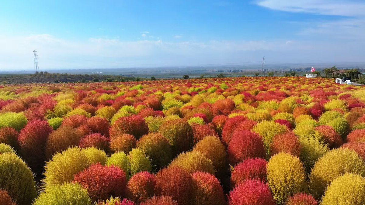 shnshn525188's tweet image. 不到林园，怎知春色如许；不到人间，怎知人间值得。