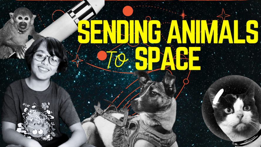 68 years ago today, Laika the dog was launched into space to become the first being to orbit the Earth. Felicette the cat, Albert the monkey and many others followed 

Watch now: 
youtube.com/watch?v=4ttF8Y…